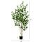 6ft. Potted Green Artificial Birch Tree with Real Touch Leaves